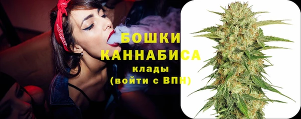 PSILOCYBIN Лагань