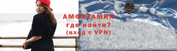 индика Ладушкин