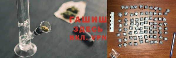 индика Ладушкин