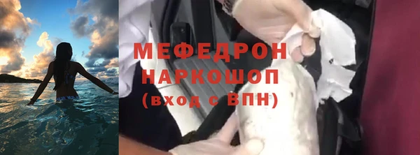 индика Ладушкин