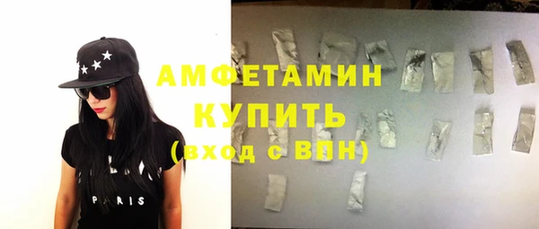 индика Ладушкин
