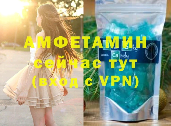индика Ладушкин