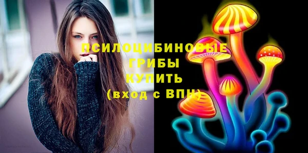 стаф Кукмор