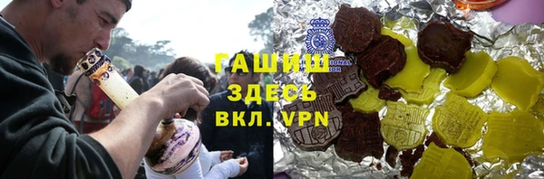 индика Ладушкин
