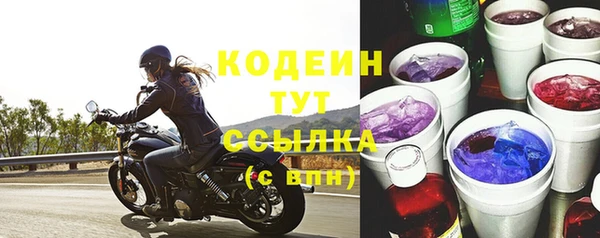 индика Ладушкин