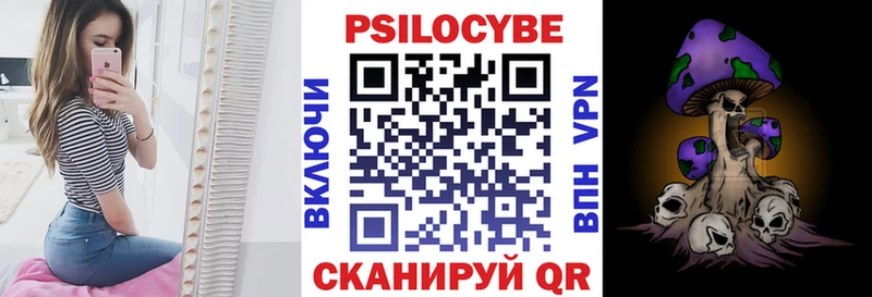 Псилоцибиновые грибы мухоморы  купить наркотик  мега сайт  Железногорск-Илимский 
